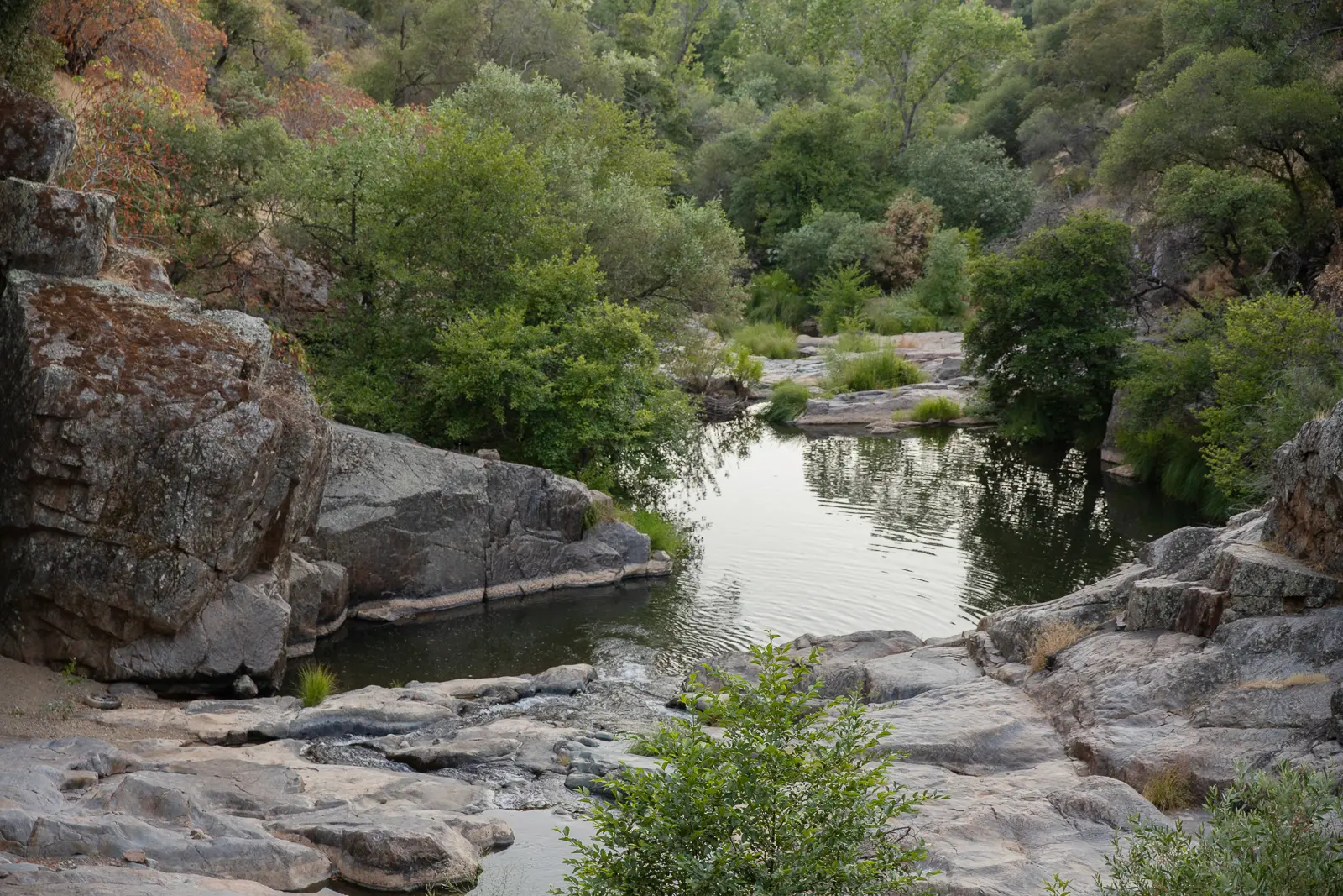 5df4345f b6e9 42f3 9368 3402420da6ab