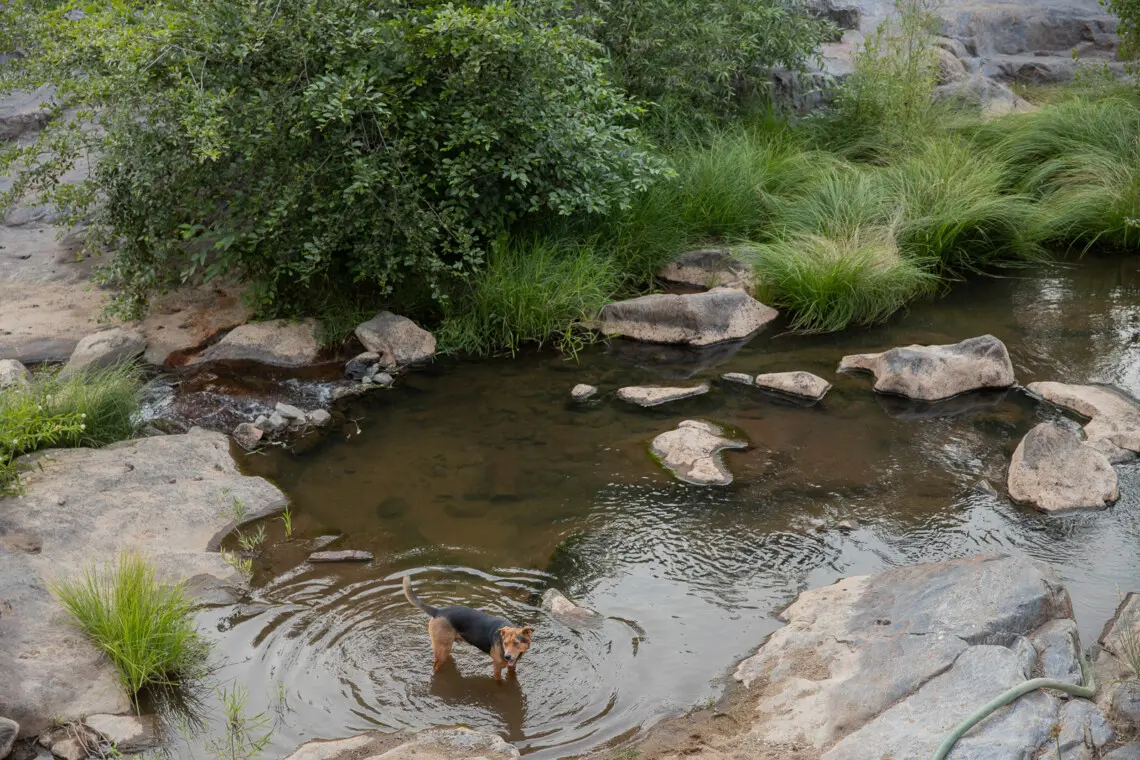 4a54dd54 5c2c 41b0 bd6f e0eb1479986a