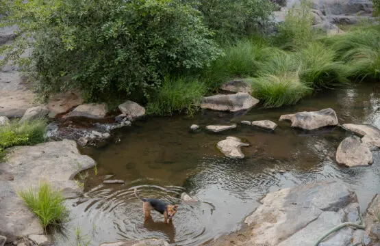 d9775b73 be48 4bc1 824b 9e677fa736c8